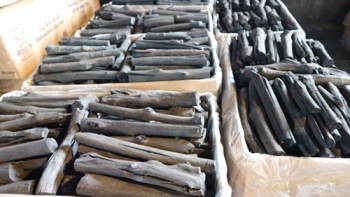 Packing & Charcoal Shape